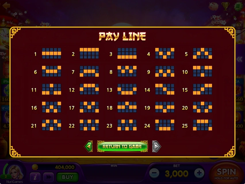 PAY LINE · Paylines